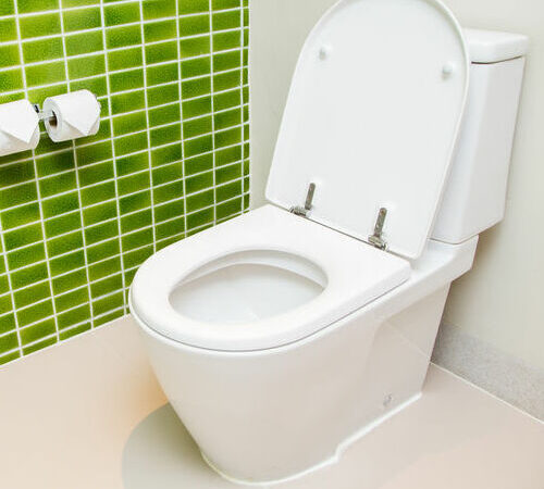 How Much Does a Plumber Charge to Replace a Toilet?